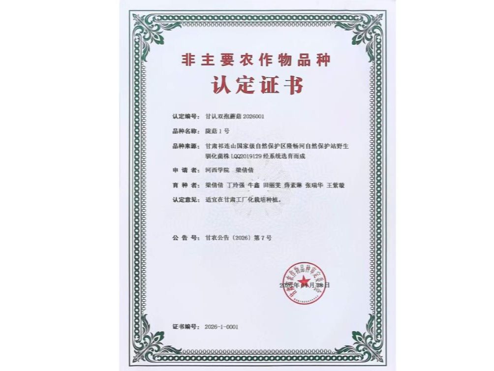 学校育成甘肃省首个自主选育双孢蘑菇新品种“陇菇1号”获省级认定
